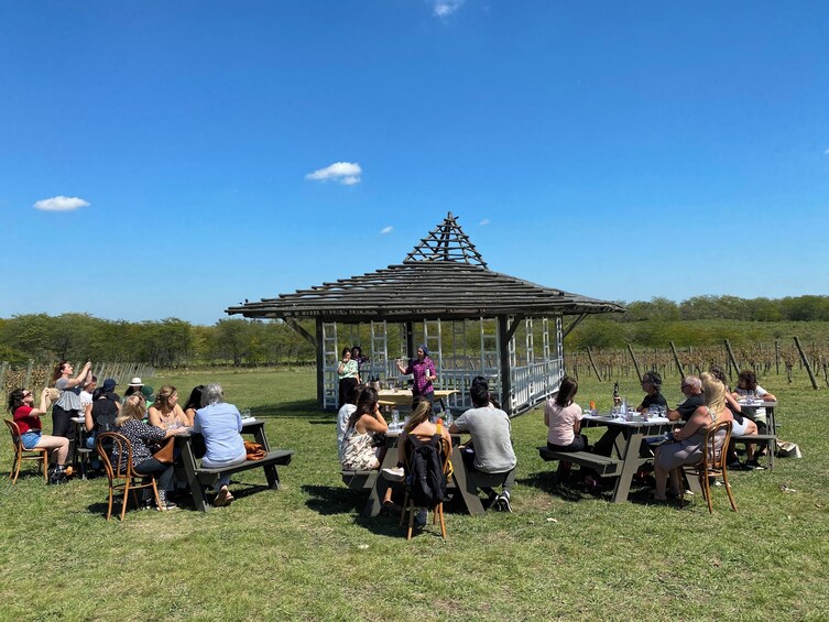 Small Group Wine Tasting in Bodega Gamboa with Lunch