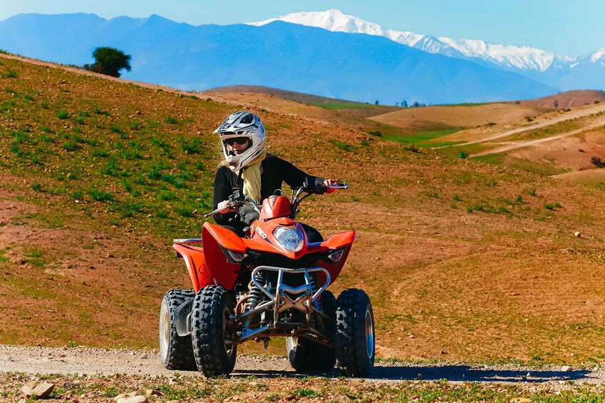 Picture 1 for Activity Marrakech: Quad Bike Tour to Palm Oasis and Jbilat Desert