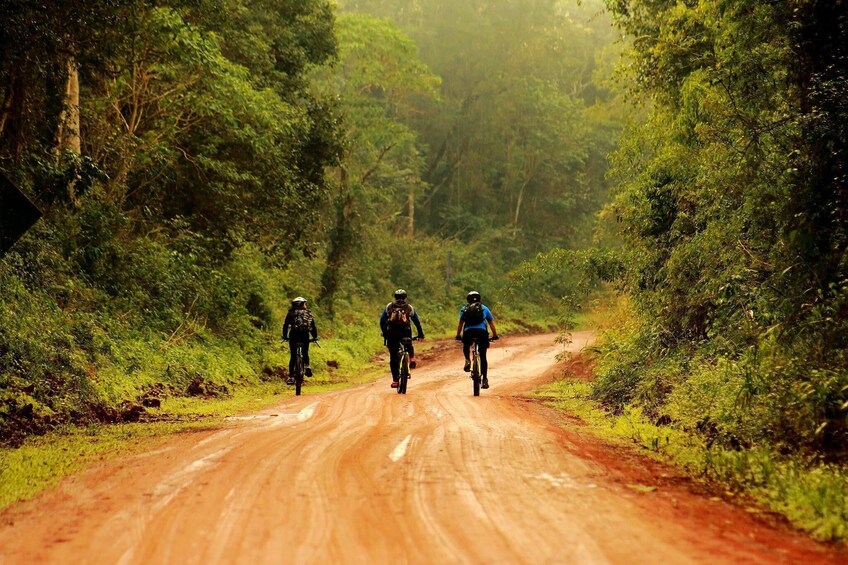 Yaguareté Road: Private Bike Excursion in Puerto Iguazú