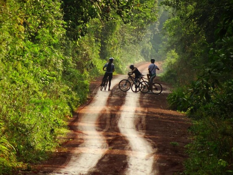 Yaguareté Road: Private Bike Excursion in Puerto Iguazú