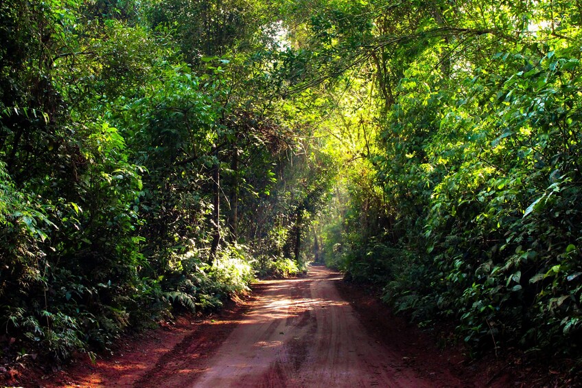 Yaguareté Road: Private Bike Excursion in Puerto Iguazú