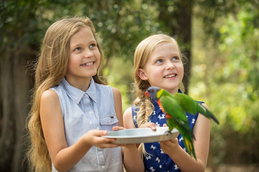 Picture 14 for Activity Paradise Country: Ultimate Aussie Farm Experience