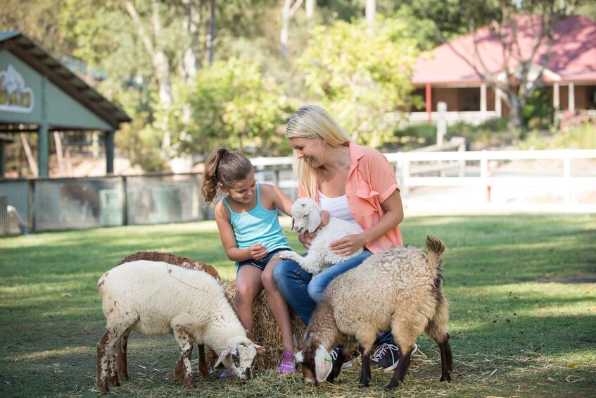 Picture 6 for Activity Paradise Country: Ultimate Aussie Farm Experience