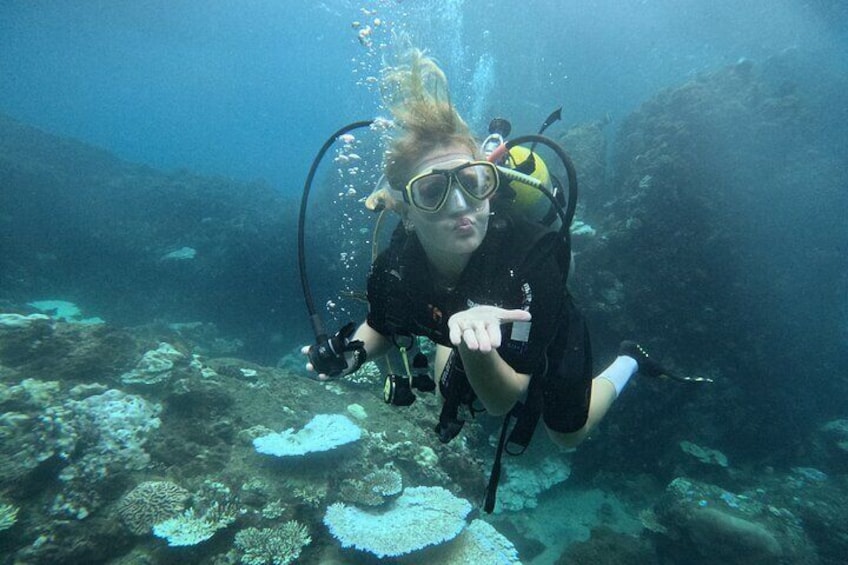Private Discovery Scuba Diving with Underwater video