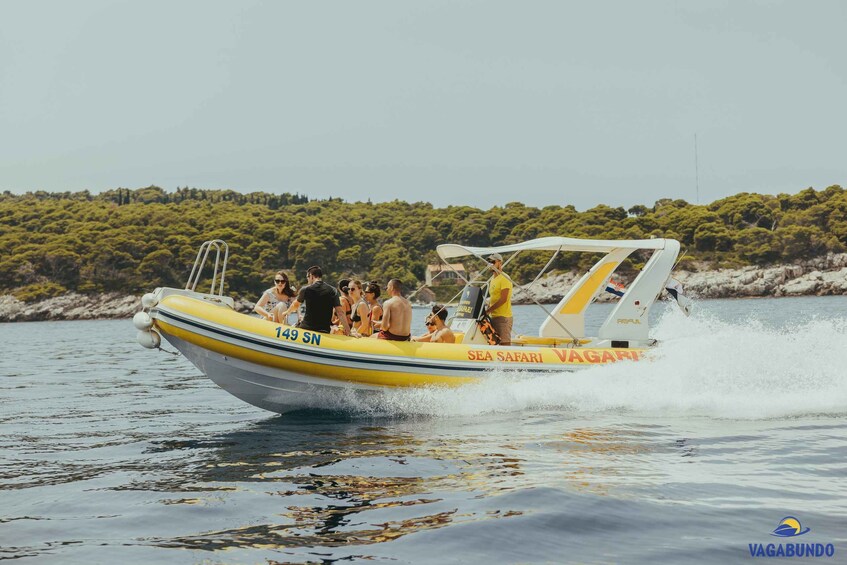 Picture 14 for Activity Full day tour to Mljet (and more than that)