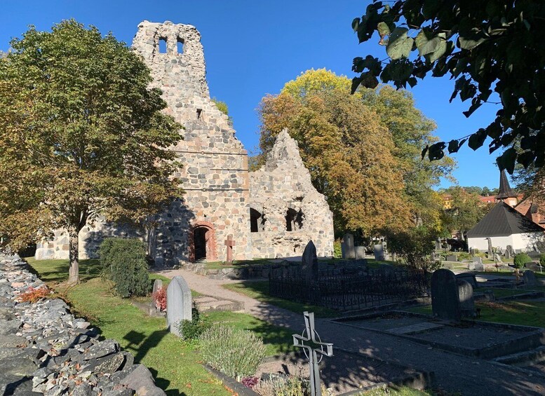 Picture 5 for Activity From Stockholm: Uppsala and Sigtuna Viking Sites Tour
