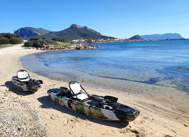 Picture 8 for Activity Kayak tour in Cala Moresca - Aperitif and Dolphin watching