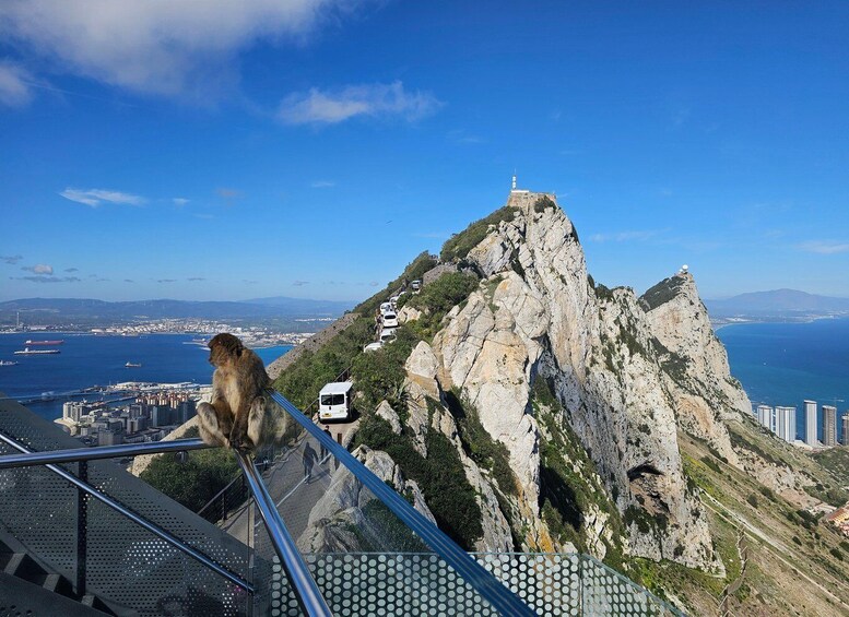 Picture 1 for Activity Private Day Trip: Gibraltar & (Tangier) Morocco from Seville