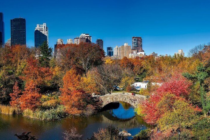 New York Shakespeare in Central Park: City Exploration Game