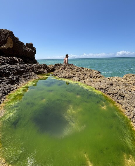 Picture 8 for Activity From Faro: Benagil, Algar Seco, and Marinha Adventure Tour
