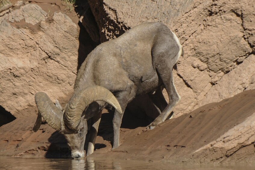 Hoover Dam and Red Rock Canyon Self-Guided Driving Audio Tour Bundle