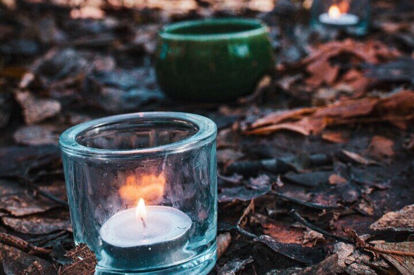 Private Forest Bathing in Serene Whistler Forests