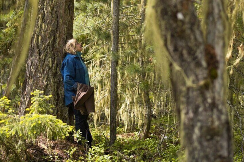 Private Forest Bathing in Serene Whistler Forests