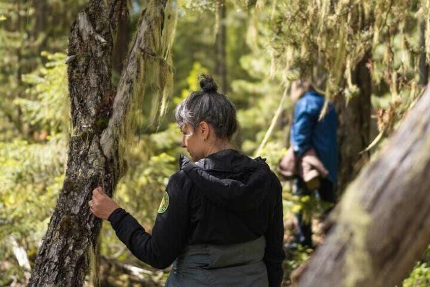 Private Forest Bathing in Serene Whistler Forests