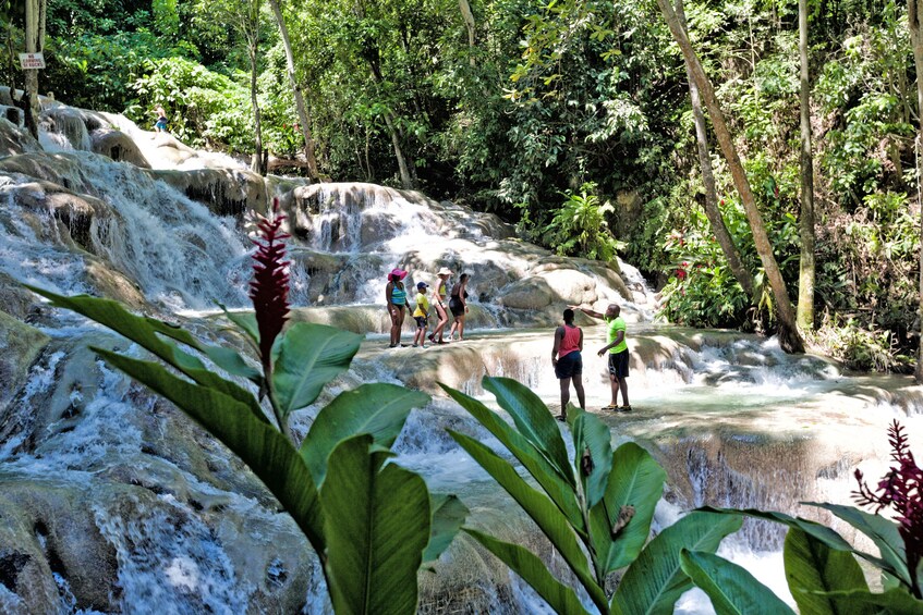 Dunn's River and Blue Hole