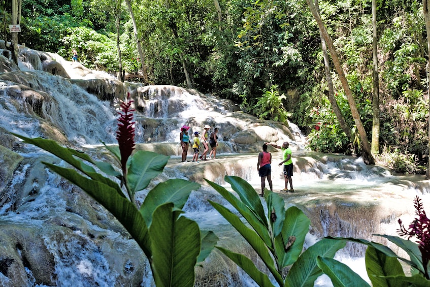Dunn's River and Blue Hole