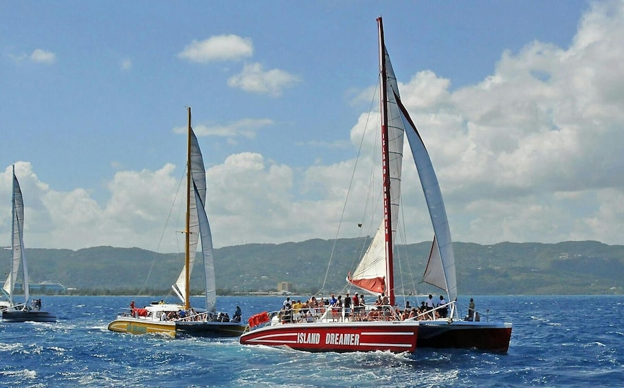 Catamaran Cruise to Rick's Café