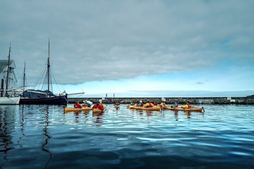 Sea Kayaking In Ålesund