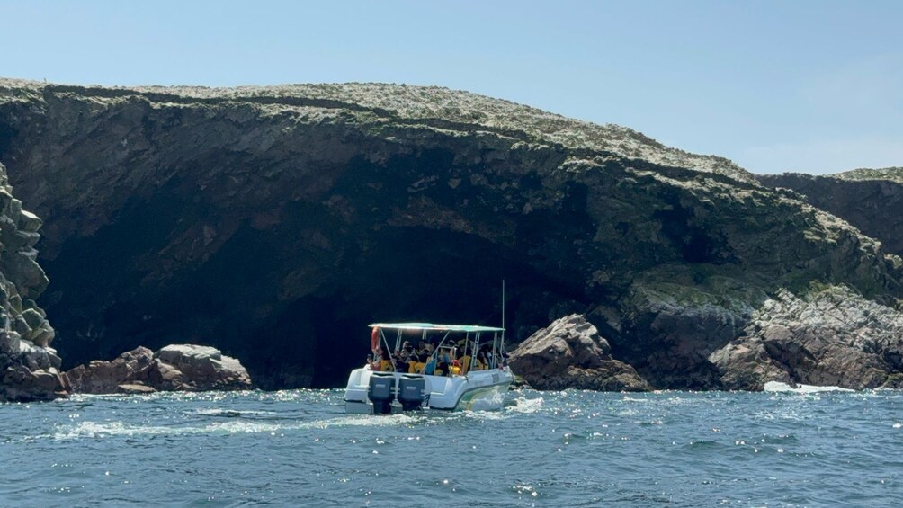 Ballestas and Huacachina Oasis Full Day Tour from Lima