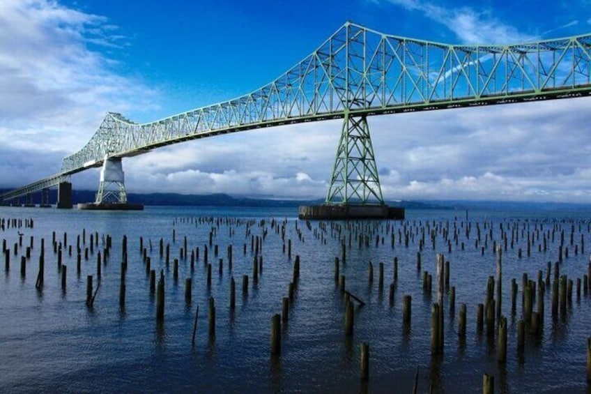 What type of wood is used for the Astoria pilings, and what purposes did they serve? Understanding this can reveal the history and significance of these structures.
