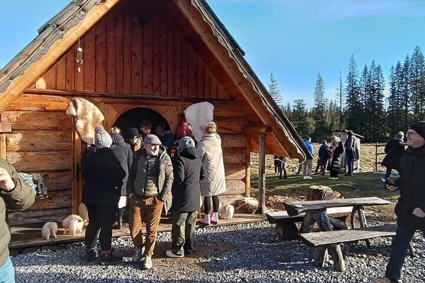 Zakopane and Hot Baths Private Tour from Krakow with tickets