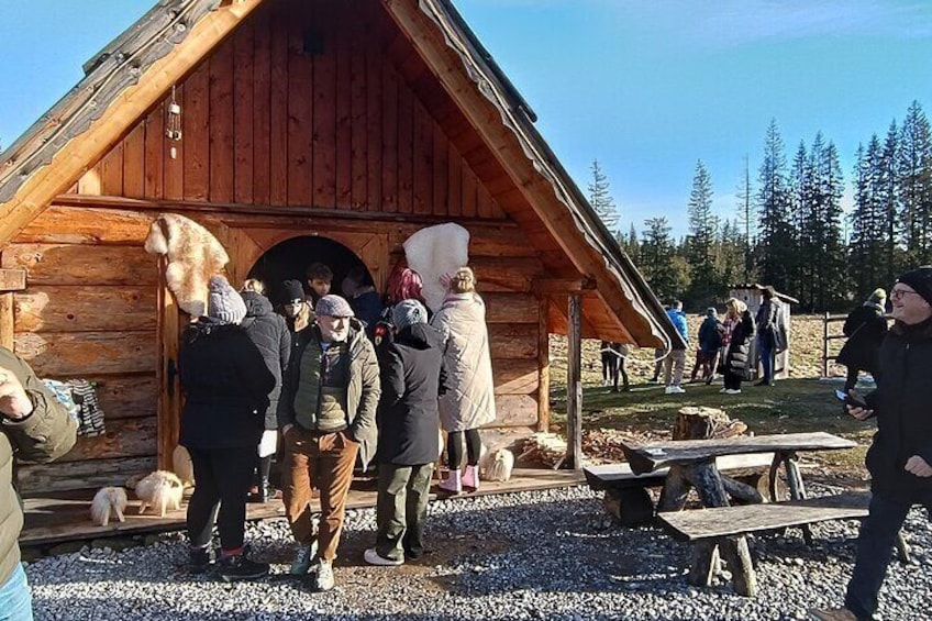 Zakopane and Hot Baths Private Tour from Krakow with tickets