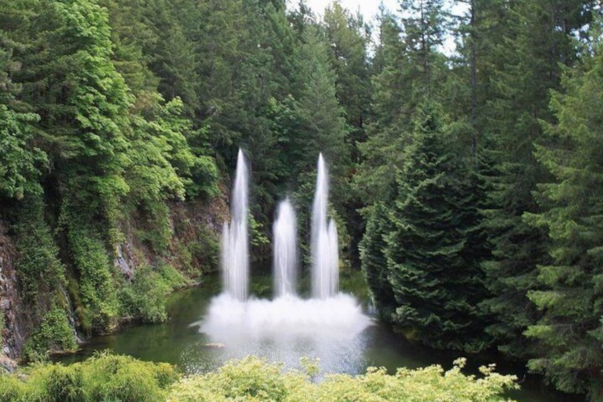 The Butchart Gardens Express Shuttle