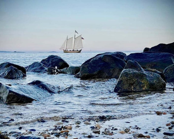 Picture 8 for Activity Salem: Historic Schooner Sailing Cruise