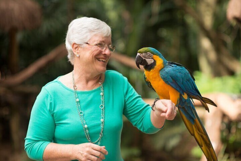 Bird Park