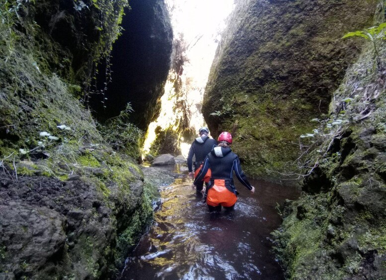 Picture 14 for Activity Private Canyoning tour: Madeira