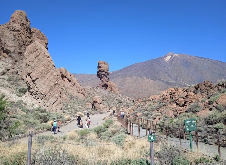 From Tenerife: Teide National Park Guided Day Trip by Bus