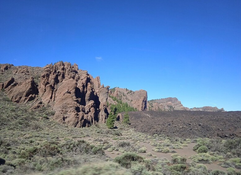 Picture 5 for Activity From Tenerife: Teide National Park Guided Day Trip by Bus