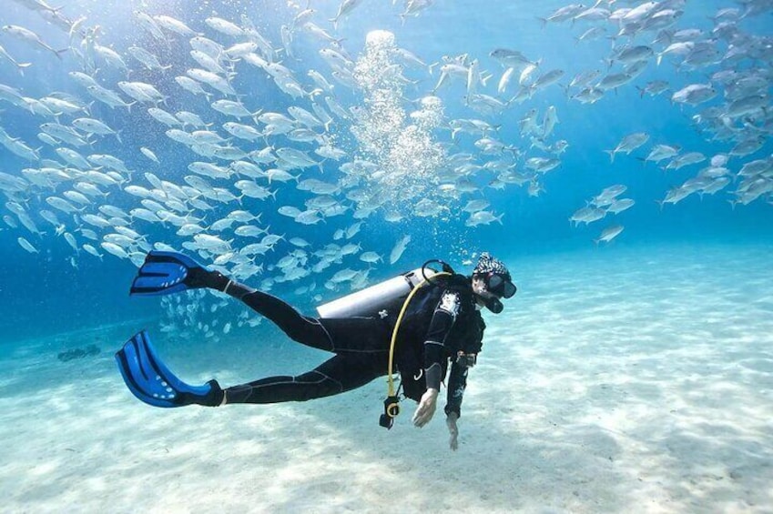 Full Day Scuba Diving Experience in Marmaris