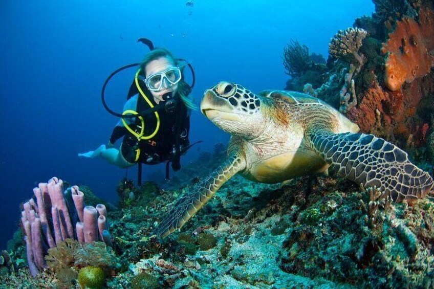 Marmaris Scuba Diving Trip with Two Dives, Lunch & Transfer 