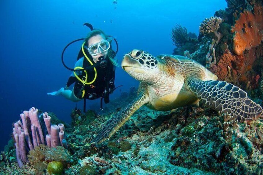 Marmaris Scuba Diving Trip with Two Dives, Lunch & Transfer