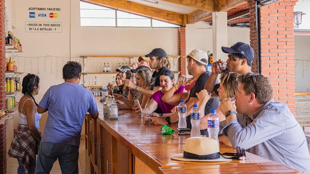 Picture 9 for Activity From Oaxaca de Juarez: Hierve el Agua and Mezcal Distillery