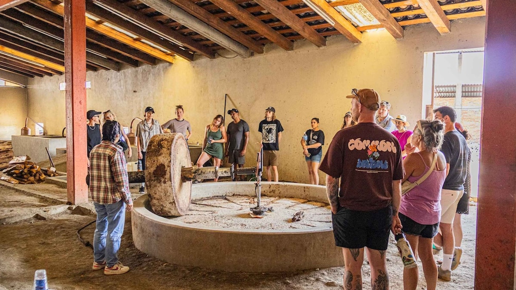 Picture 10 for Activity From Oaxaca de Juarez: Hierve el Agua and Mezcal Distillery
