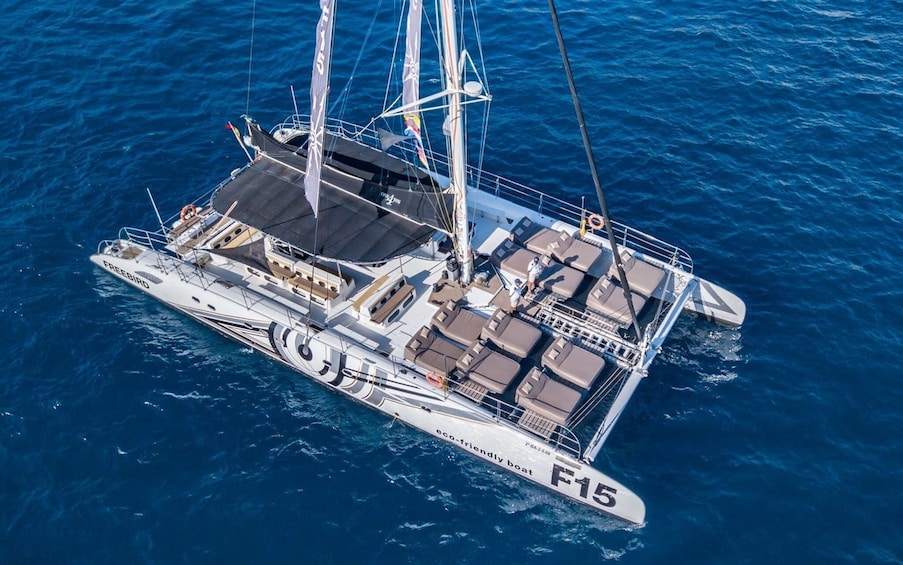 Adults Only Tenerife Freebird Whale Dolphin Catamaran with Lunch