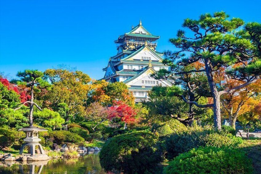 Full-Day Private Guided Tour in Osaka