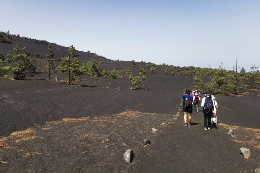Full Day Tour with Hiking to the Tajogaite Volcano