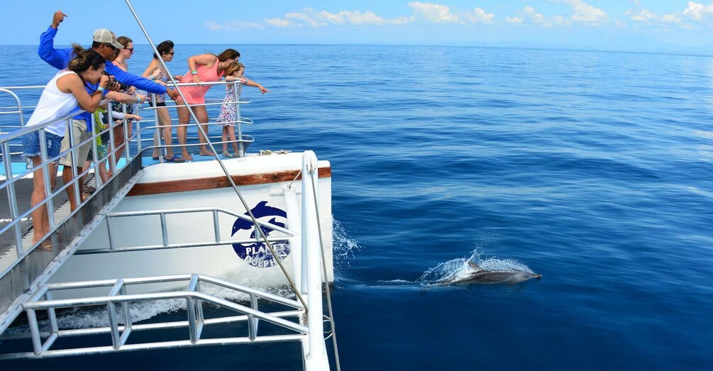 Picture 2 for Activity Flamingo, Guanacaste: Catamaran Trip with Lunch and Drinks
