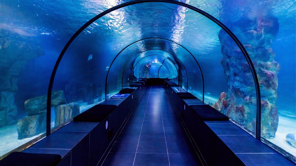 Istanbul Aquarium Visit with Transfer