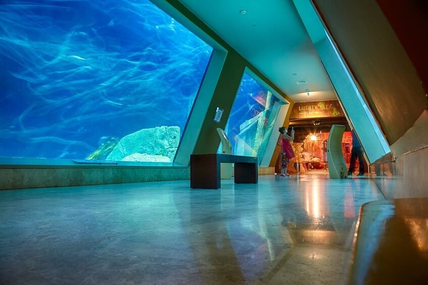 Istanbul Aquarium Visit with Transfer