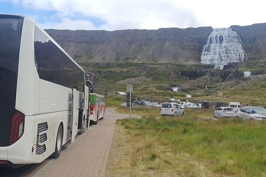 3-Hour Sightseeing Tour To Dynjandi Waterfall