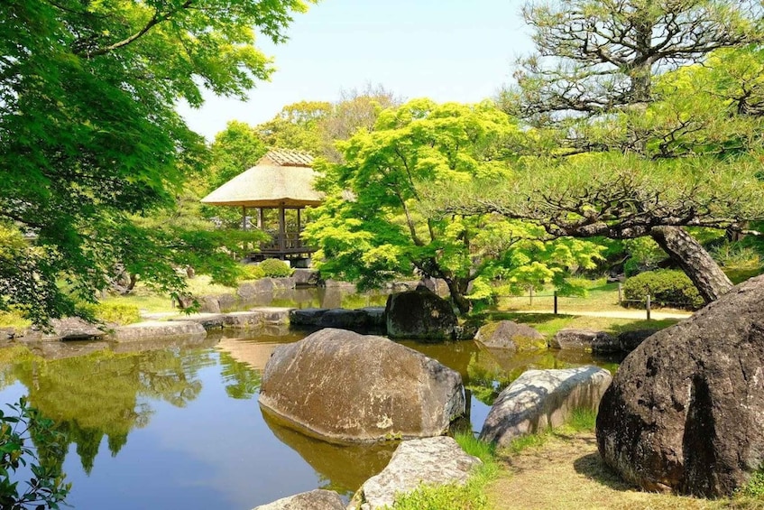 Picture 1 for Activity Osaka: Himeji Castle, Arima Onsen & Mt. Rokko 1-Day Bus Tour