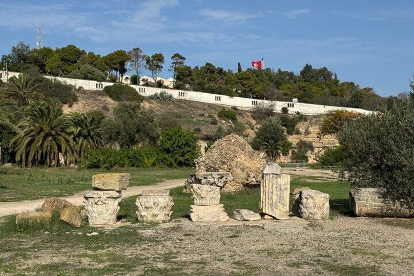 Explore the essentials of Tunis in a Private Half Day