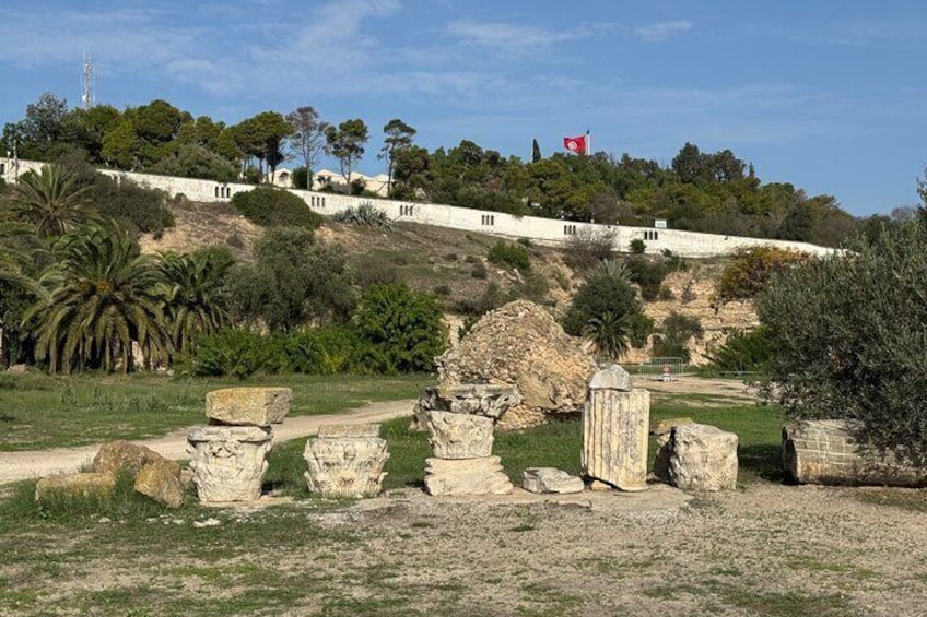 Explore the essentials of Tunis in a Private Half Day