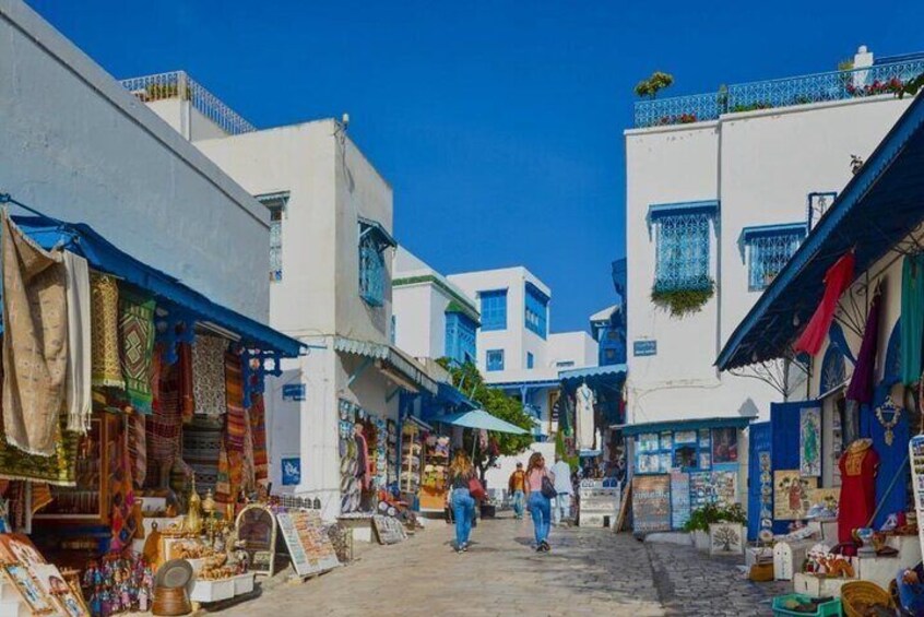 Explore the essentials of Tunis in a Private Half Day