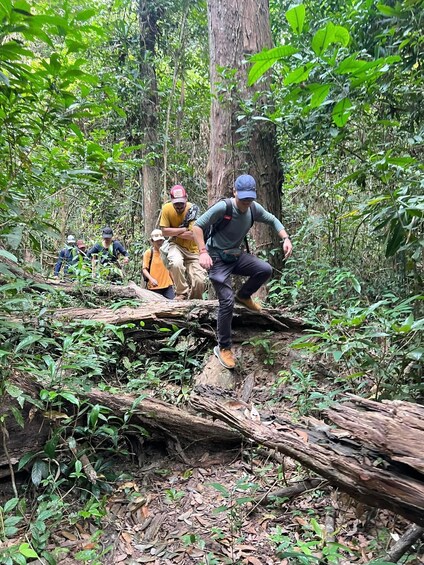 Picture 12 for Activity Trekking Tour at Phnom Kulen National Park from Siem Reap