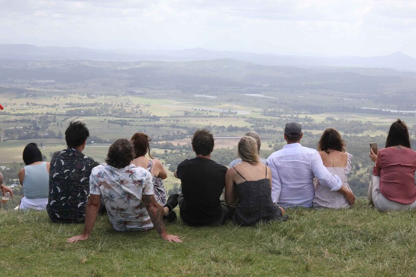 Picture 5 for Activity Gold Coast: Daytime Glow Worm Caves and Hop-on Hop-off Tour